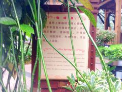 -黄山温泉国际旅游度假区