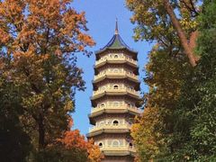 -灵谷景区