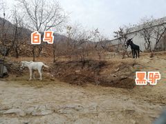 -济南马套将军山