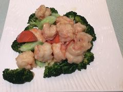 -大柴·宴宾楼(芥园西道店)