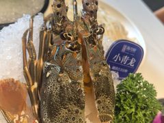 -海月轩海鲜豆捞(紫金塔店)