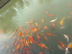 -嘉北郊野公园
