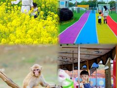 -武汉紫薇都市田园