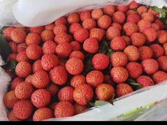 -上海龙吴水胜海发市场