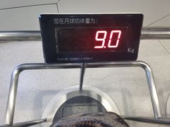 -上海儿童博物馆