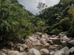 -海南热带雨林国家公园吊罗山景区
