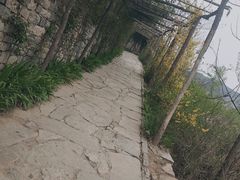 -井塘古村