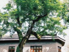 -颐和路民国时期公馆风貌区