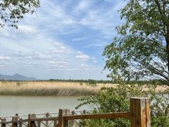 -野鸭湖国家湿地公园