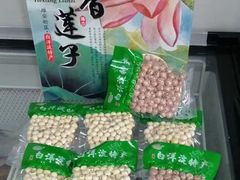 -白洋淀景区