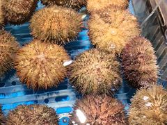 -徐记海鲜(大雁塔|金都店)