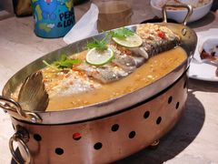 -佬肥猫(七宝宝龙店)