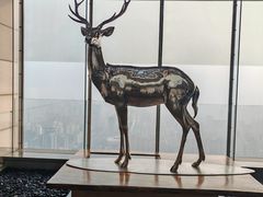 -北京柏悦酒店·锦庭餐厅Dining Room