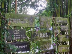 -老木棉·匠园