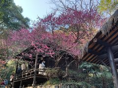 -黄公望隐居地