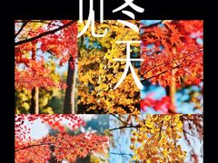 -汇龙潭