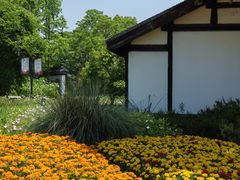 -梁鸿国家湿地公园