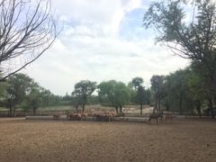 -赛汗塔拉风情园