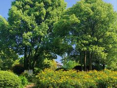 -铁山坪森林公园