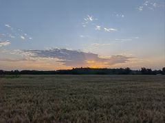 -汉长安城未央宫国家考古遗址公园