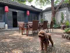 -悦真雅院·四合院·清真私房菜(雍和宫店)