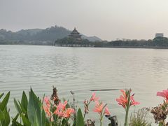-顺峰山公园