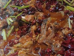 -老板恋上鱼(恒隆广场店)