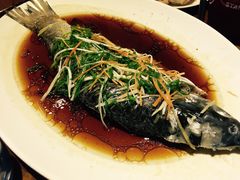-頂好酒家·经典粤菜(海信广场店)