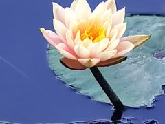-云溪植物园