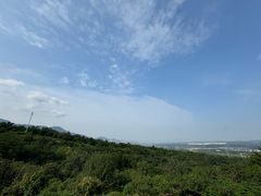 -阳台山自然风景区