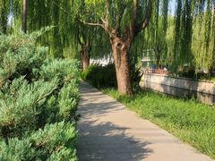 -元大都城垣遗址公园