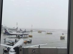 -谢列梅捷沃国际机场