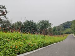 -南京市江宁方山