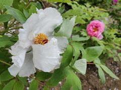 -江南大学(蠡湖校区)