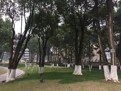 -重庆市江北嘴中央商务区中央公园