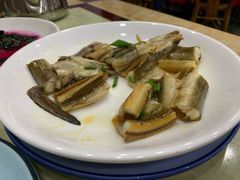 鳗鱼-红灯笼龙凤饭店(宁波老字号店)