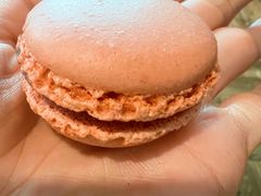 -玫瑰花园自助烤肉(金源店)