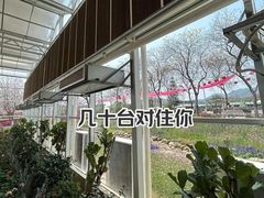 -盈香心动乐园