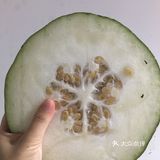 鬼怪👹美味菜谱系列之：白贝冬瓜汤