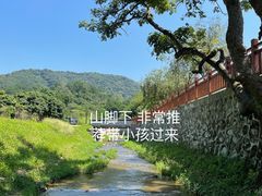 -广州市帽峰山景区