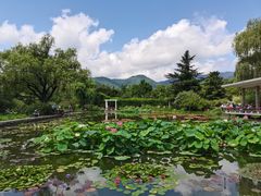 -国家植物园南园