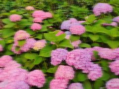 -天津医科大学肿瘤医院(本部院区)