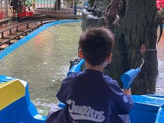 -顺德大良半月城游乐场