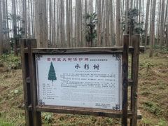 -上海怡沁园度假酒店