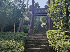 -杭州半山国家森林公园