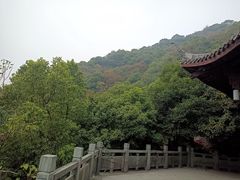 -杭州半山国家森林公园