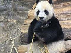-海南热带野生动植物园