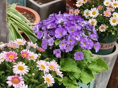 -泉乐坊步行街(烟酒特产平价超市店)