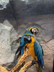 点击看大图 -Zoolung Zoolung动物主题公园(海信广场店)