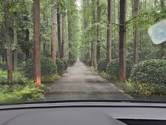 -上海怡沁园度假酒店